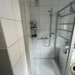 Апартаменты Roeck *